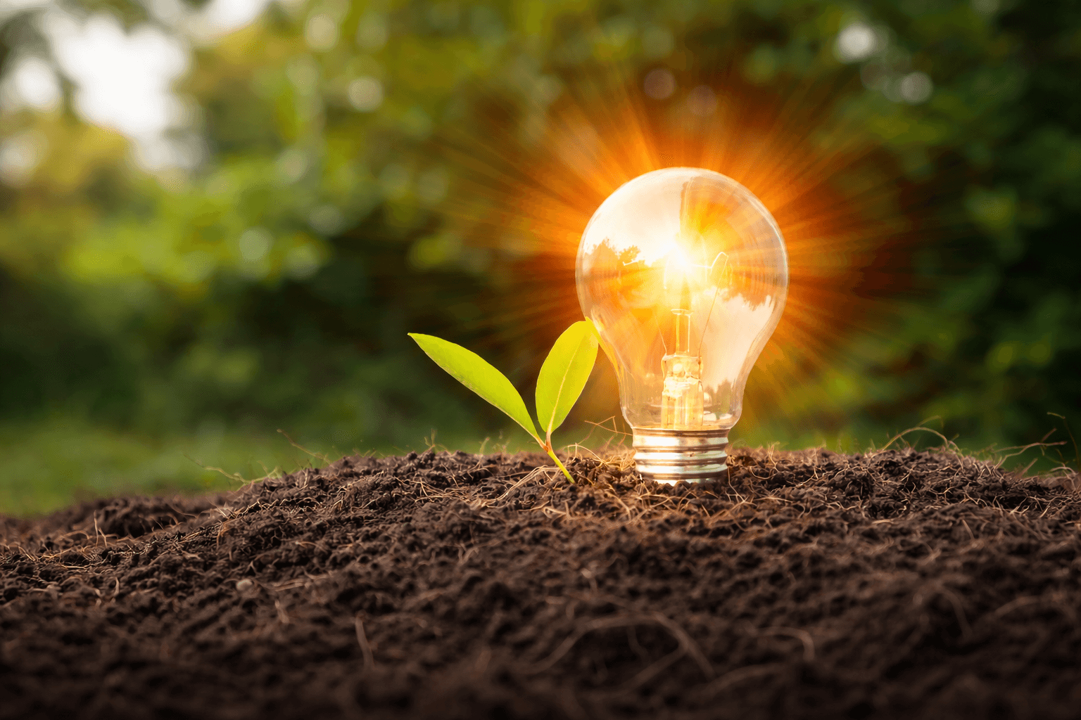 Team developing strategic communication plans to enhance organizational messaging and outreach